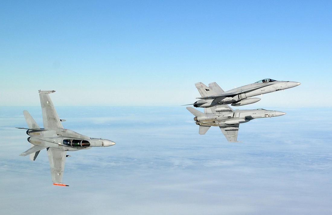 hornets
